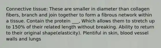 Connective tissue: These are smaller in diameter than collagen fibers, branch and join together to form a fibrous network within a tissue. Contain the protein ___, Which allows them to stretch up to 150% of their related length without breaking. Ability to return to their original shape(elasticity). Plentiful in skin, blood vessel walls and lungs