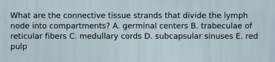 What are the connective tissue strands that divide the lymph node into compartments? A. germinal centers B. trabeculae of reticular fibers C. medullary cords D. subcapsular sinuses E. red pulp