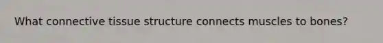 What connective tissue structure connects muscles to bones?