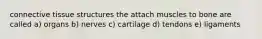 connective tissue structures the attach muscles to bone are called a) organs b) nerves c) cartilage d) tendons e) ligaments