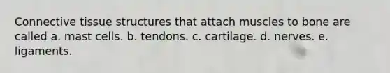 Connective tissue structures that attach muscles to bone are called a. mast cells. b. tendons. c. cartilage. d. nerves. e. ligaments.