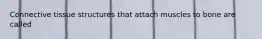 Connective tissue structures that attach muscles to bone are called