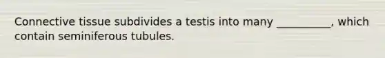 Connective tissue subdivides a testis into many __________, which contain seminiferous tubules.