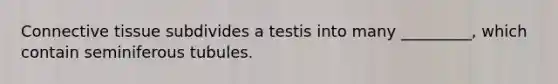 Connective tissue subdivides a testis into many _________, which contain seminiferous tubules.