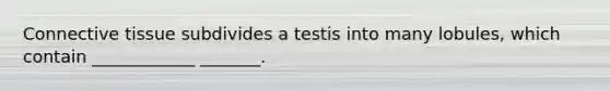 Connective tissue subdivides a testis into many lobules, which contain ____________ _______.