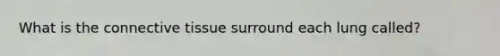 What is the connective tissue surround each lung called?