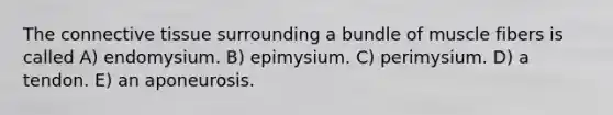 The connective tissue surrounding a bundle of muscle fibers is called A) endomysium. B) epimysium. C) perimysium. D) a tendon. E) an aponeurosis.