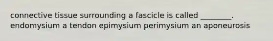 connective tissue surrounding a fascicle is called ________. endomysium a tendon epimysium perimysium an aponeurosis