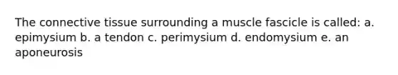 The connective tissue surrounding a muscle fascicle is called: a. epimysium b. a tendon c. perimysium d. endomysium e. an aponeurosis