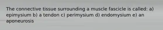 The connective tissue surrounding a muscle fascicle is called: a) epimysium b) a tendon c) perimysium d) endomysium e) an aponeurosis