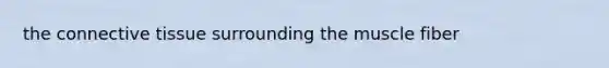the connective tissue surrounding the muscle fiber