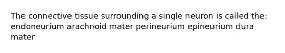 The connective tissue surrounding a single neuron is called the: endoneurium arachnoid mater perineurium epineurium dura mater