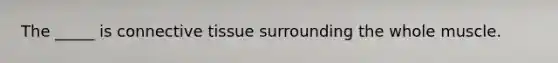 The _____ is connective tissue surrounding the whole muscle.