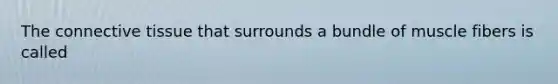 The connective tissue that surrounds a bundle of muscle fibers is called
