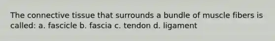 The connective tissue that surrounds a bundle of muscle fibers is called: a. fascicle b. fascia c. tendon d. ligament