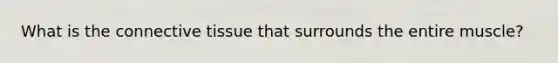 What is the connective tissue that surrounds the entire muscle?