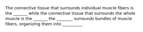 The connective tissue that surrounds individual muscle fibers is the _______ while the connective tissue that surrounds the whole muscle is the _______ the ________ surrounds bundles of muscle fibers, organizing them into __________