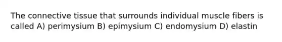 The connective tissue that surrounds individual muscle fibers is called A) perimysium B) epimysium C) endomysium D) elastin