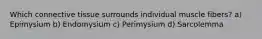 Which connective tissue surrounds individual muscle fibers? a) Epimysium b) Endomysium c) Perimysium d) Sarcolemma