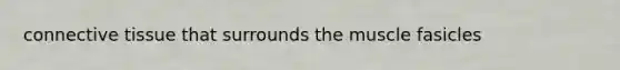 connective tissue that surrounds the muscle fasicles