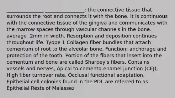 _______________ ________________: the connective tissue that surrounds the root and connects it with the bone. It is continuous with the connective tissue of the gingiva and communicates with the marrow spaces through vascular channels in the bone. average .2mm in width. Resorption and deposition continues throughout life. Tyope 1 Collagen fiber bundles that attach cementum of root to the alveolar bone. Function: anchorage and protection of the tooth. Portion of the fibers that insert into the cementum and bone are called Sharpey's fibers. Contains vessels and nerves, Apical to cemento-enamel junction (CEJ), High fiber turnover rate. Occlusal functional adaptation, Epithelial cell colonies found in the PDL are referred to as Epithelial Rests of Malassez