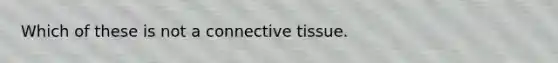 Which of these is not a connective tissue.