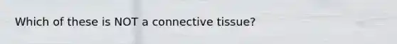 ​​Which of these is NOT a connective tissue?