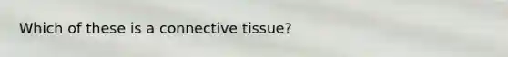 Which of these is a connective tissue?