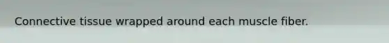 Connective tissue wrapped around each muscle fiber.