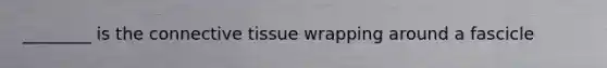 ________ is the connective tissue wrapping around a fascicle