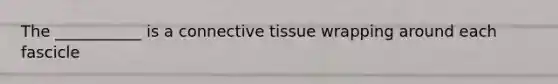 The ___________ is a connective tissue wrapping around each fascicle