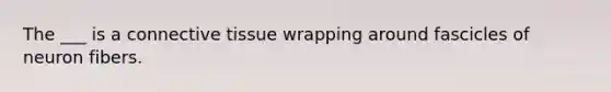 The ___ is a connective tissue wrapping around fascicles of neuron fibers.