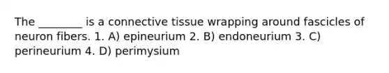 The ________ is a <a href='https://www.questionai.com/knowledge/kYDr0DHyc8-connective-tissue' class='anchor-knowledge'>connective tissue</a> wrapping around fascicles of neuron fibers. 1. A) epineurium 2. B) endoneurium 3. C) perineurium 4. D) perimysium