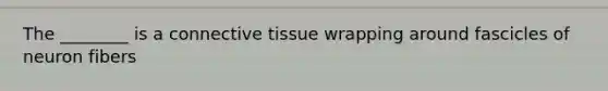 The ________ is a connective tissue wrapping around fascicles of neuron fibers