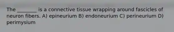 The ________ is a connective tissue wrapping around fascicles of neuron fibers. A) epineurium B) endoneurium C) perineurium D) perimysium