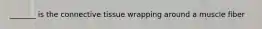 _______ is the connective tissue wrapping around a muscle fiber
