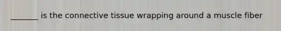 _______ is the connective tissue wrapping around a muscle fiber