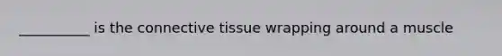 __________ is the connective tissue wrapping around a muscle