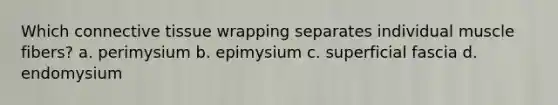 Which connective tissue wrapping separates individual muscle fibers? a. perimysium b. epimysium c. superficial fascia d. endomysium