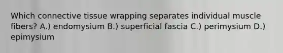 Which connective tissue wrapping separates individual muscle fibers? A.) endomysium B.) superficial fascia C.) perimysium D.) epimysium