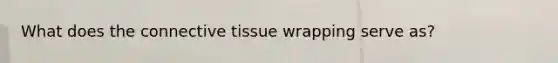 What does the connective tissue wrapping serve as?