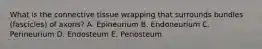 What is the connective tissue wrapping that surrounds bundles (fascicles) of axons? A. Epineurium B. Endoneurium C. Perineurium D. Endosteum E. Periosteum