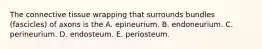 The connective tissue wrapping that surrounds bundles (fascicles) of axons is the A. epineurium. B. endoneurium. C. perineurium. D. endosteum. E. periosteum.