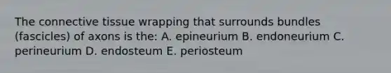 The connective tissue wrapping that surrounds bundles (fascicles) of axons is the: A. epineurium B. endoneurium C. perineurium D. endosteum E. periosteum