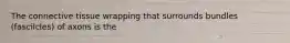 The connective tissue wrapping that surrounds bundles (fascilcles) of axons is the