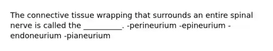 The connective tissue wrapping that surrounds an entire spinal nerve is called the __________. -perineurium -epineurium -endoneurium -pianeurium