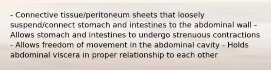 - Connective tissue/peritoneum sheets that loosely suspend/connect stomach and intestines to the abdominal wall - Allows stomach and intestines to undergo strenuous contractions - Allows freedom of movement in the abdominal cavity - Holds abdominal viscera in proper relationship to each other