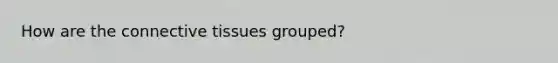 How are the connective tissues grouped?