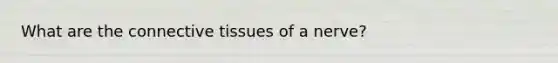 What are the connective tissues of a nerve?