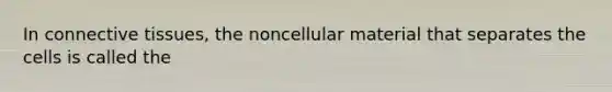 In connective tissues, the noncellular material that separates the cells is called the